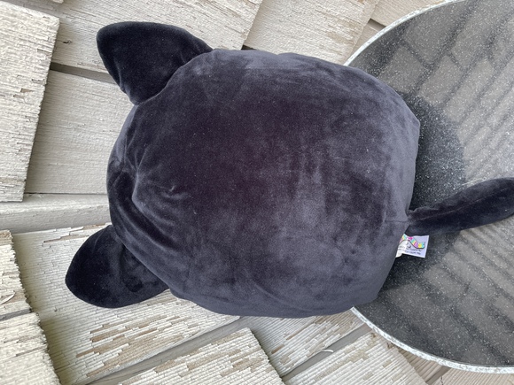 Squishmallows Plush Catarina Black Cat Pink Belly Halloween 13" - Picture 2 of 2